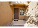 Front entryway with a brown door and a side window at 9019 Heritage Sound Dr, Bradenton, FL 34212