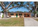Charming single-story home with a green lawn, mature trees, and a welcoming green front door at 1841 Buccaneer Dr, Sarasota, FL 34231