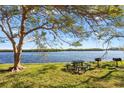 Relaxing waterfront view with picnic tables and grills under a tree at 611 Destiny Dr # 107, Ruskin, FL 33570