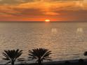 Stunning sunset over the ocean with palm trees in the foreground at 1241 Gulf Of Mexico Dr # 708, Longboat Key, FL 34228