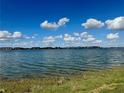 Tranquil lake view with lush vegetation and a partly cloudy sky at 7376 Cabin Ln, Sarasota, FL 34240