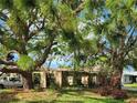 Tree-covered front yard with mature pine trees partially obscuring the view of the home and front yard at 304 45Th Nw St, Bradenton, FL 34209