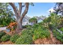 Landscaped front yard with mature trees and lush foliage at 1775 Southwood St, Sarasota, FL 34231