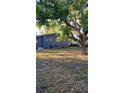 Large backyard with mature trees and patchy grass at 601 27Th W St, Bradenton, FL 34205