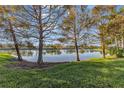 Scenic view of a lake with lush green grass and mature trees at 8231 Stirling Falls Cir, Sarasota, FL 34243