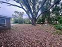 A spacious backyard featuring a large tree, perfect for outdoor enjoyment and relaxation at 2141 Clematis St, Sarasota, FL 34239