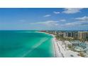Breathtaking aerial view of the shoreline showing turquoise water, sandy beach, and city skyline at 4906 Lighthouse Bay Ln, Bradenton, FL 34211