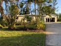 Landscaped front yard with tropical plants and driveway at 703 32Nd Street E Ct, Bradenton, FL 34208