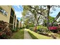 Building exterior with landscaped walkway and lush foliage at 11485 Oakhurst Rd # 200-220, Largo, FL 33774