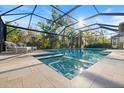 Relaxing screened pool with sun loungers and view of mature trees at 15603 Derna Ter, Bradenton, FL 34211