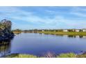 Beautiful view of the pond showing the calm water and surrounding trees and greenery at 3115 Trustee Ave, Sarasota, FL 34243