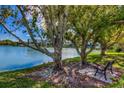 Tranquil lakefront view with bench, trees and ducks at 4067 Lake Bayshore Dr # 302, Bradenton, FL 34205