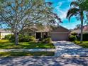 One story house with a two car garage and mature landscaping at 3920 Douglas Hill Pl, Parrish, FL 34219