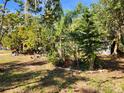 Landscaped side yard with tropical plants and a variety of trees at 3181 Irving St, Sarasota, FL 34237