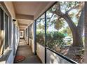 Bright hallway with a large tree view through screen, neutral carpet, and easy access to outdoor surroundings at 2124 N Tamiami Trl # 103, Sarasota, FL 34234