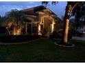 Attractive home exterior with landscape lighting and palm trees at 19025 Fern Meadow Loop, Lutz, FL 33558