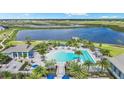 Inviting community pool surrounded by lounge chairs, umbrellas, and tropical landscaping at 17942 Palmiste Dr, Bradenton, FL 34202