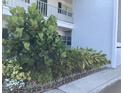 Lush green plants and flowers line the building at 4705 1St W Ct # 388, Bradenton, FL 34207