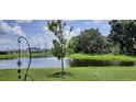 Landscaped backyard with pond view, lush greenery, and peaceful atmosphere at 9016 Waxwing Way, Parrish, FL 34219