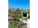 Charming front yard featuring vibrant bougainvillea and lush greenery under a clear blue sky at 2961 Homasassa Rd, Sarasota, FL 34239