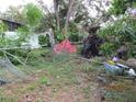 Backyard with overgrown vegetation and a fallen tree at 1814 6Th E Ave, Bradenton, FL 34208