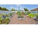 Shared garden with raised garden beds at 7016 Playa Bella Dr, Bradenton, FL 34209