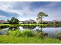 Scenic backyard view featuring a tranquil pond and lush greenery for a serene outdoor living experience at 8737 Pebble Creek Ln, Sarasota, FL 34238