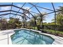 Screened in pool with clear blue water and lush landscaping in the background at 14614 Newtonmore Ln, Lakewood Ranch, FL 34202