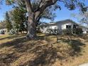 Large side yard featuring mature trees that provide ample shade at 2040 Pine Ridge Dr, Clearwater, FL 33763