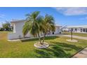 Well-maintained front yard with a pair of palm trees, lush green grass, and a white brick house exterior at 3708 Chinaberry Rd, Bradenton, FL 34208