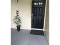 Close-up view of the front door entrance, accented by a decorative plant, and featuring a secure lock and door knocker at 7211 W Country Club N Dr # 135, Sarasota, FL 34243