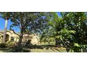 Exterior showcasing a charming home with mature trees, lush foliage, and a well-manicured lawn at 15207 17Th E Ave, Bradenton, FL 34212