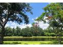 Scenic view of the pond surrounded by lush green trees and foliage under a sunny, partly cloudy sky at 15207 17Th E Ave, Bradenton, FL 34212