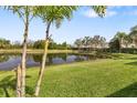 Expansive backyard with lush green grass, a serene pond, and mature palm trees at 12019 Sawgrass Lake Ter, Bradenton, FL 34211