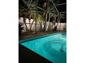 Relaxing backyard pool area featuring a screened-in lanai and lush tropical landscaping with ample privacy at 7113 52Nd E Dr, Bradenton, FL 34203
