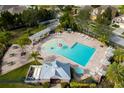 Aerial view of the community pool with palm trees, lounge chairs and picnic tables at 5814 117Th E Ter, Parrish, FL 34219