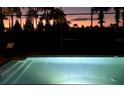 Backyard pool at dusk with steps, screened enclosure, and lush landscaping at 8901 Artisan Way, Sarasota, FL 34240