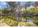 Tranquil backyard pond with rocks, waterfall, and lush greenery at 1565 Saturn Rd, Venice, FL 34293