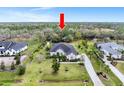 Aerial view of a home nestled among mature trees with a large lawn and long driveway leading up to the house at 7601 226 E St, Bradenton, FL 34211