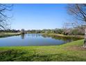 Scenic view of a serene pond surrounded by lush greenery and mature trees at 6919 Winners Cir, Lakewood Ranch, FL 34202