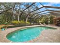 Screen-enclosed pool with brick deck and lush backyard views at 3007 Goodwater St, Sarasota, FL 34231