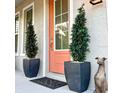 Stylish front entrance with a peach-colored door, potted plants, and unique decor at 919 W Warren Ave, Tampa, FL 33602