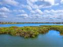 Expansive water views with lush greenery and buildings in the distance on a beautiful day at 10520 Boardwalk Loop # 205, Lakewood Ranch, FL 34202