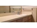 Bathroom featuring a light-colored vanity, sink, and mirror at 4008 Crockers Lake Blvd # 11, Sarasota, FL 34238