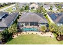Aerial view of a private pool with screened enclosure and manicured lawn surrounded by mature palm trees at 5608 Tidewater Preserve Blvd, Bradenton, FL 34208