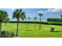 Serene backyard featuring lush green grass, palm trees, and peaceful waterfront views at 4600 Gulf Of Mexico Dr # 202, Longboat Key, FL 34228