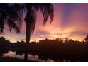 Beautiful sunset view over a lake, silhouetting a palm tree against a vibrant purple and pink sky at 803 Coral Bean Cv, Venice, FL 34293