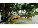 Scenic lake view with wooden fishing pier, mature trees, and green grass at 4133 Heron Way # E202, Bradenton, FL 34205