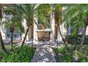 Well maintained condo entrance with lovely palms, tidy landscaping, and shade at 137 Avenida Messina # 3, Sarasota, FL 34242