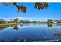 Breathtaking view of a serene pond, showcasing the community's tranquil and scenic environment at 5261 Highbury Cir, Sarasota, FL 34238